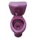 Mexican ELONGATED TOILET  Purple
